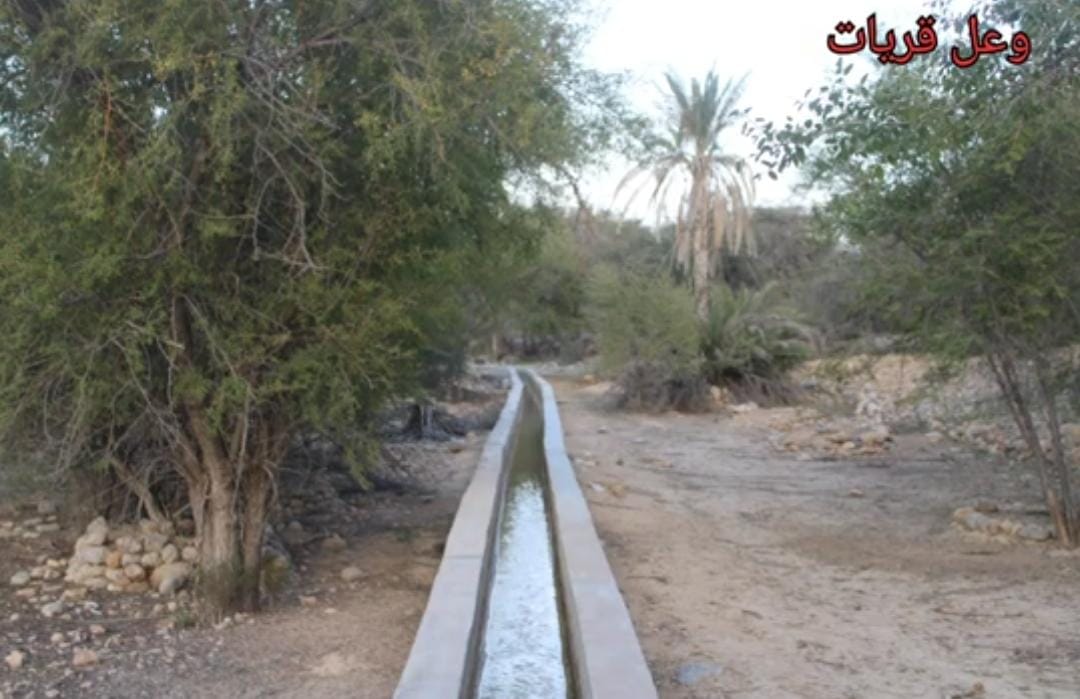 محيا